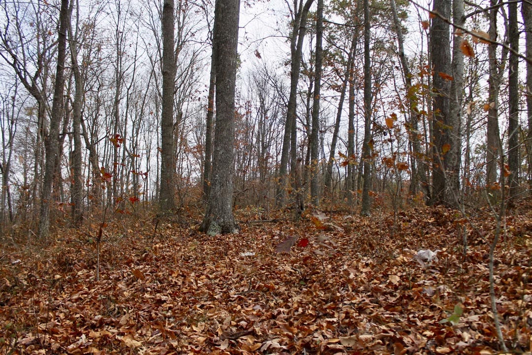 Autumn Ridge Tract 21 photo 3