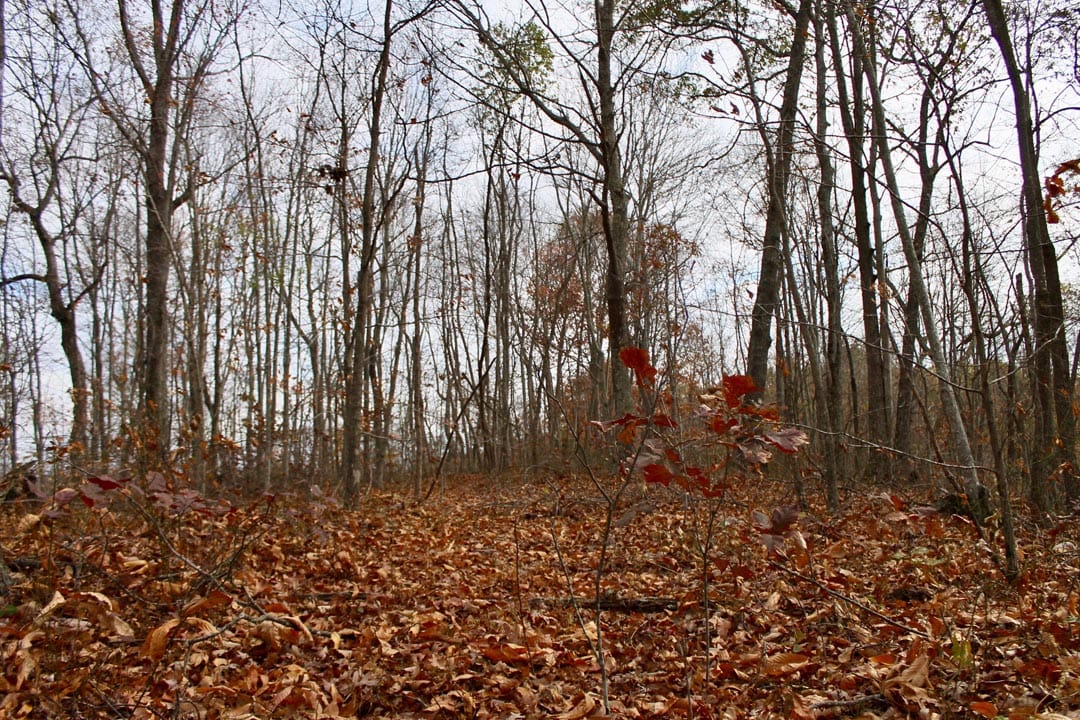 Autumn Ridge Tract 21 photo 5