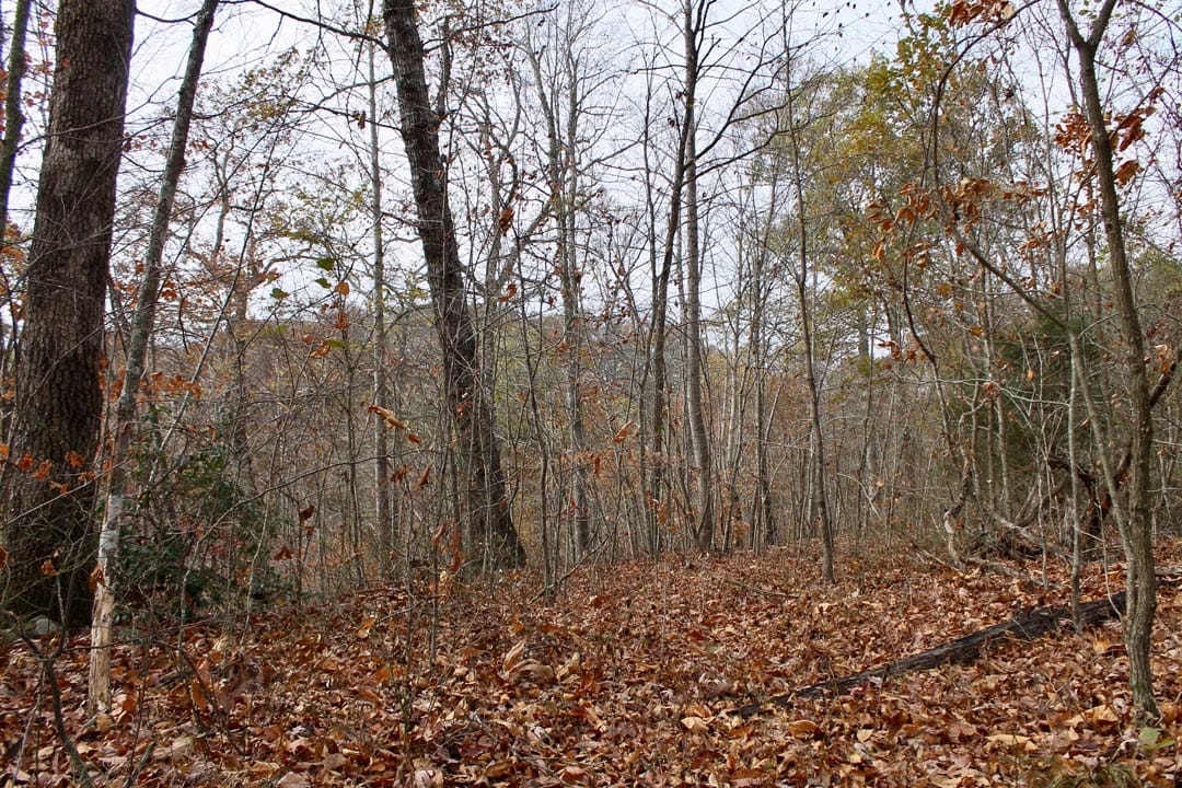 Autumn Ridge Tract 21 photo 7