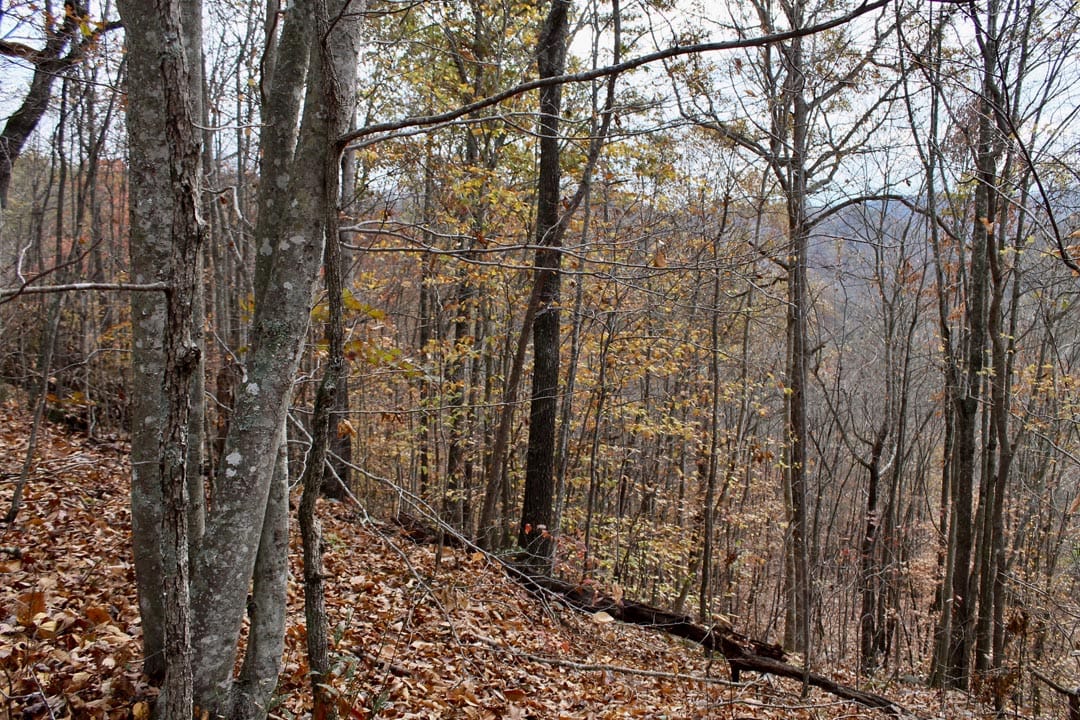 Autumn Ridge Tract 21 photo 8