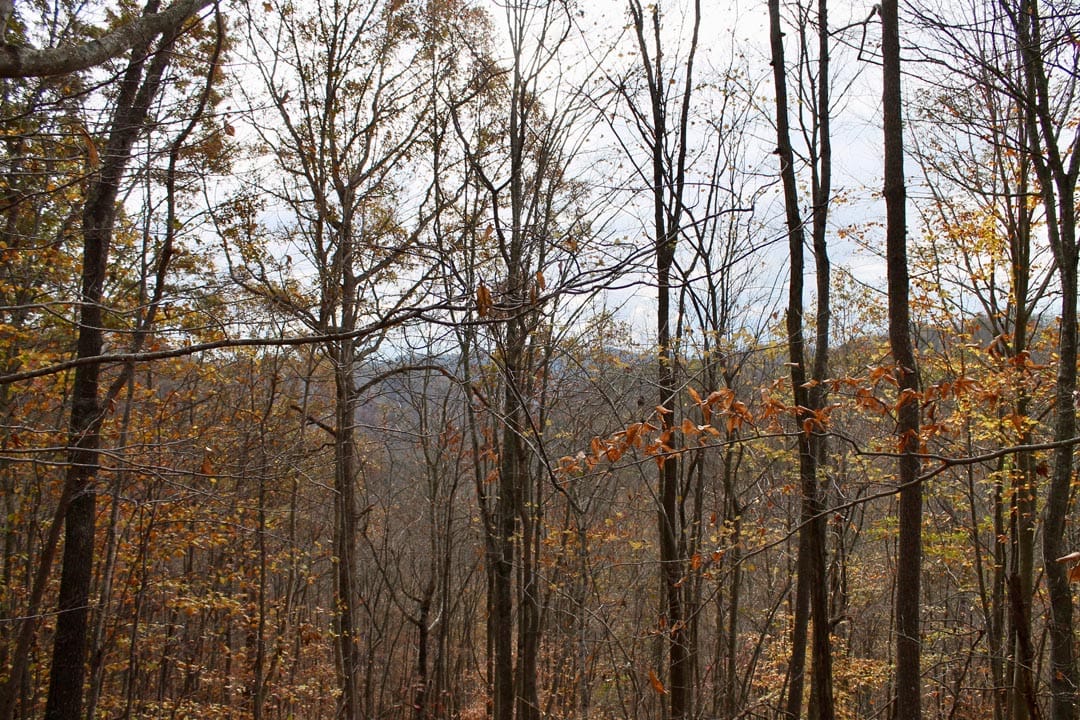Autumn Ridge Tract 21 photo 9