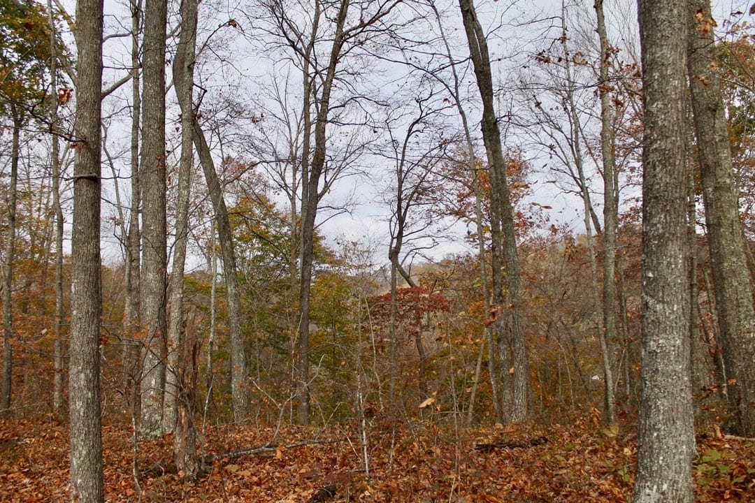 Autumn Ridge Tract 21 photo 11