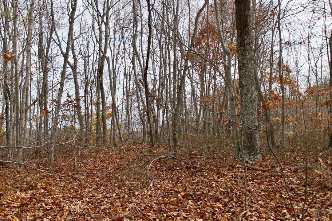 Autumn Ridge Tract 21 photo 13