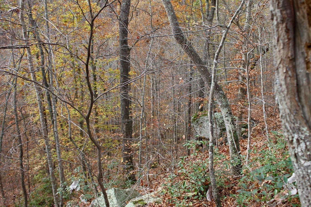 Autumn Ridge Tract 21 photo 14