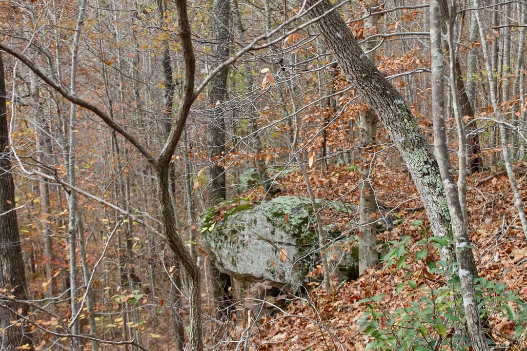Autumn Ridge Tract 21 photo 15