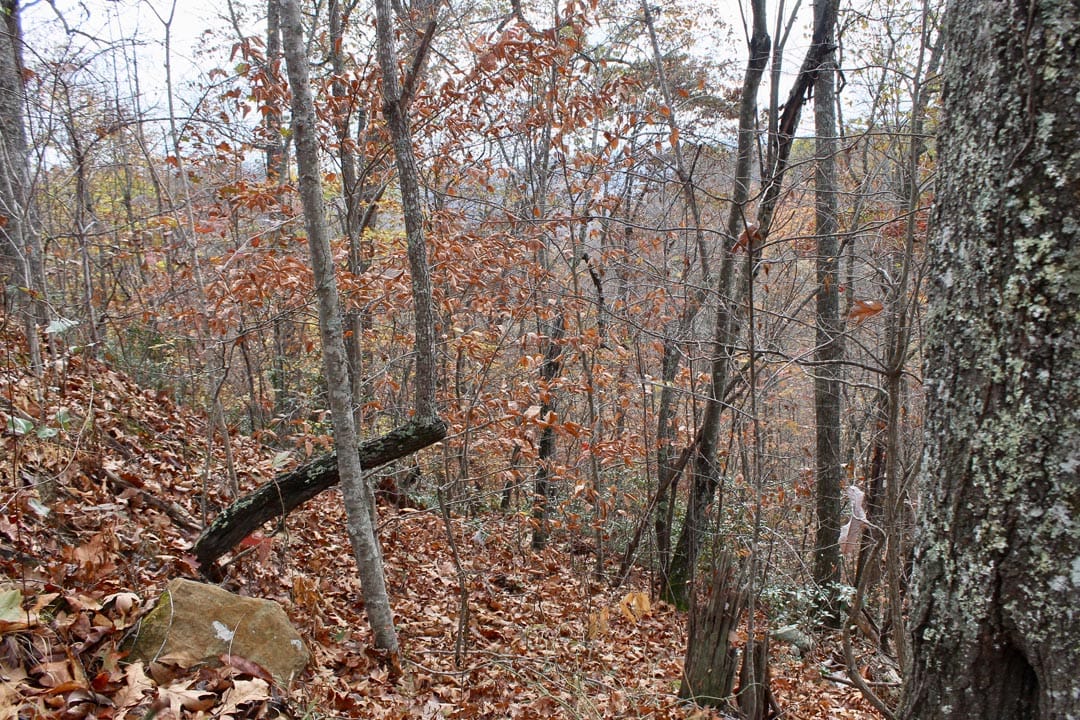 Autumn Ridge Tract 21 photo 16