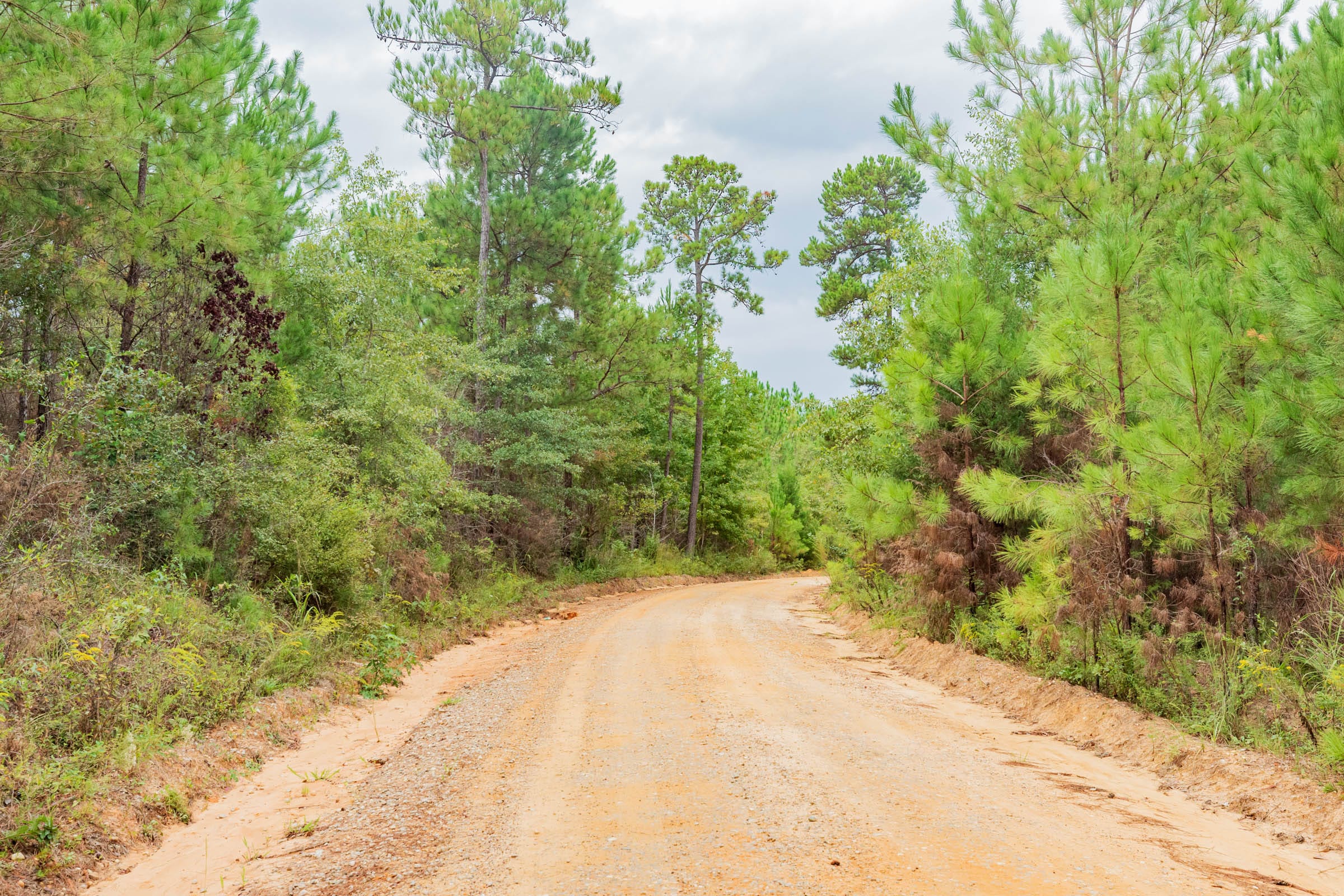 Jackson’s Gap Tract 7 photo 7