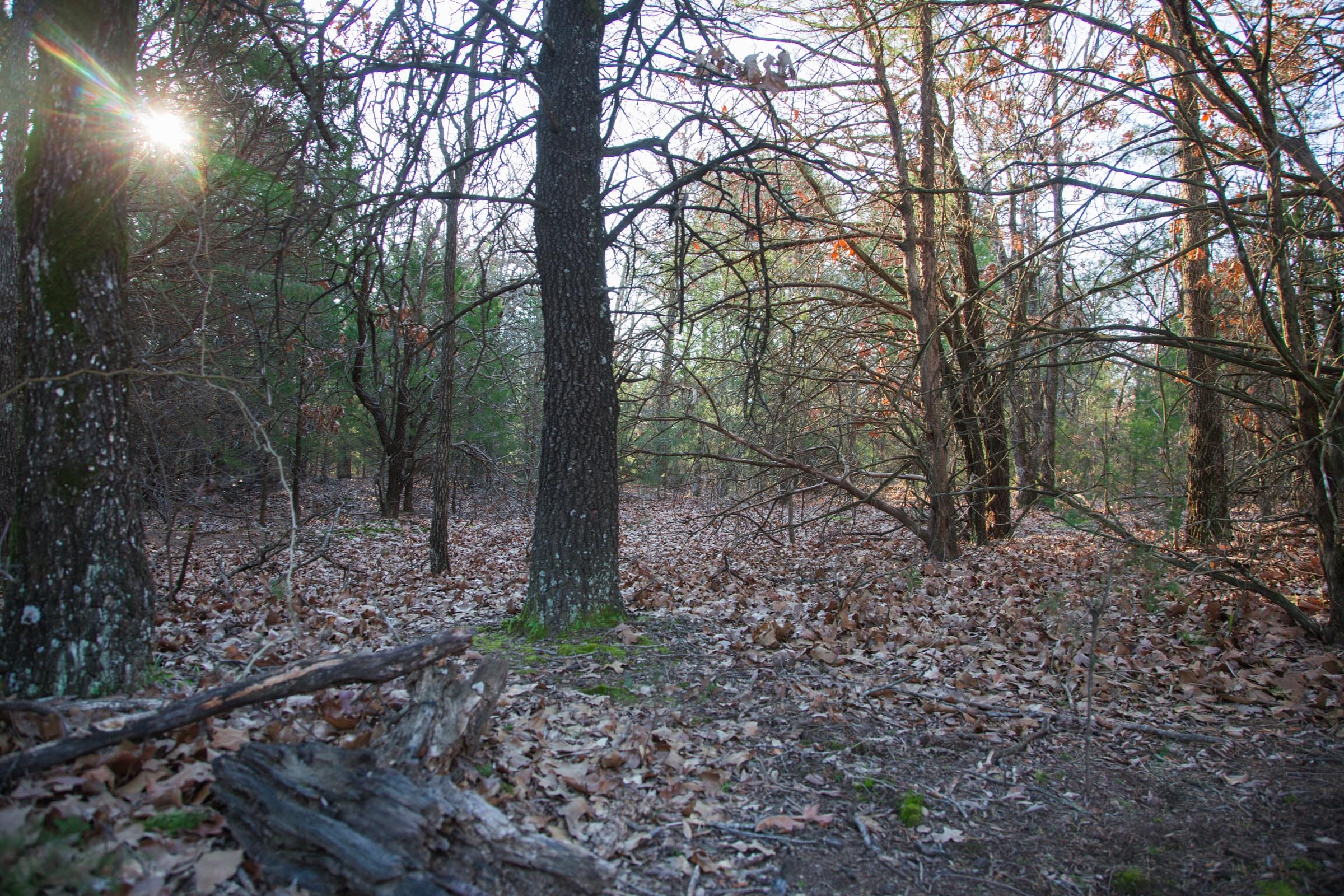 Eufaula Cove Tract 27 photo 2