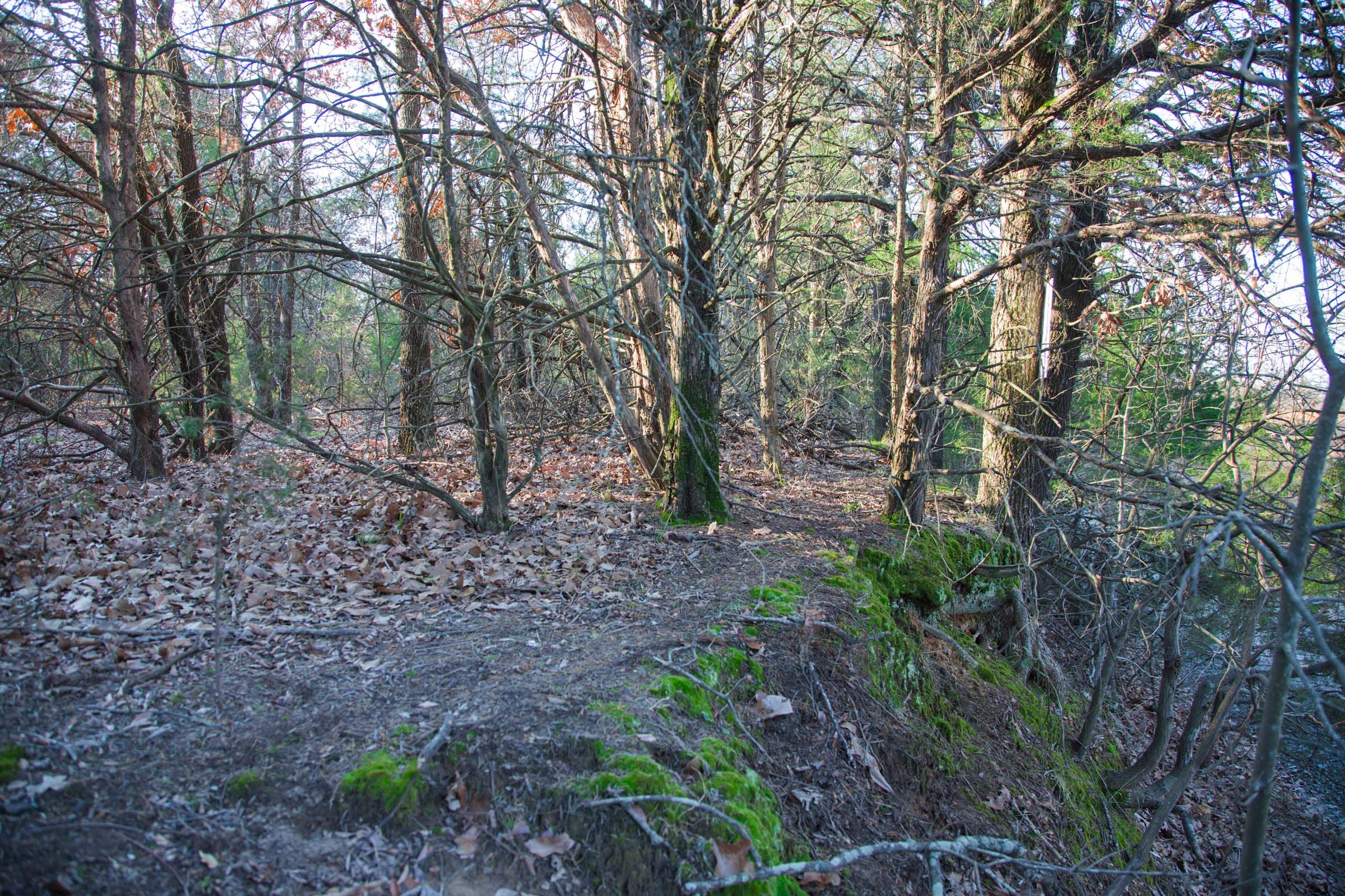 Eufaula Cove Tract 27 photo 3