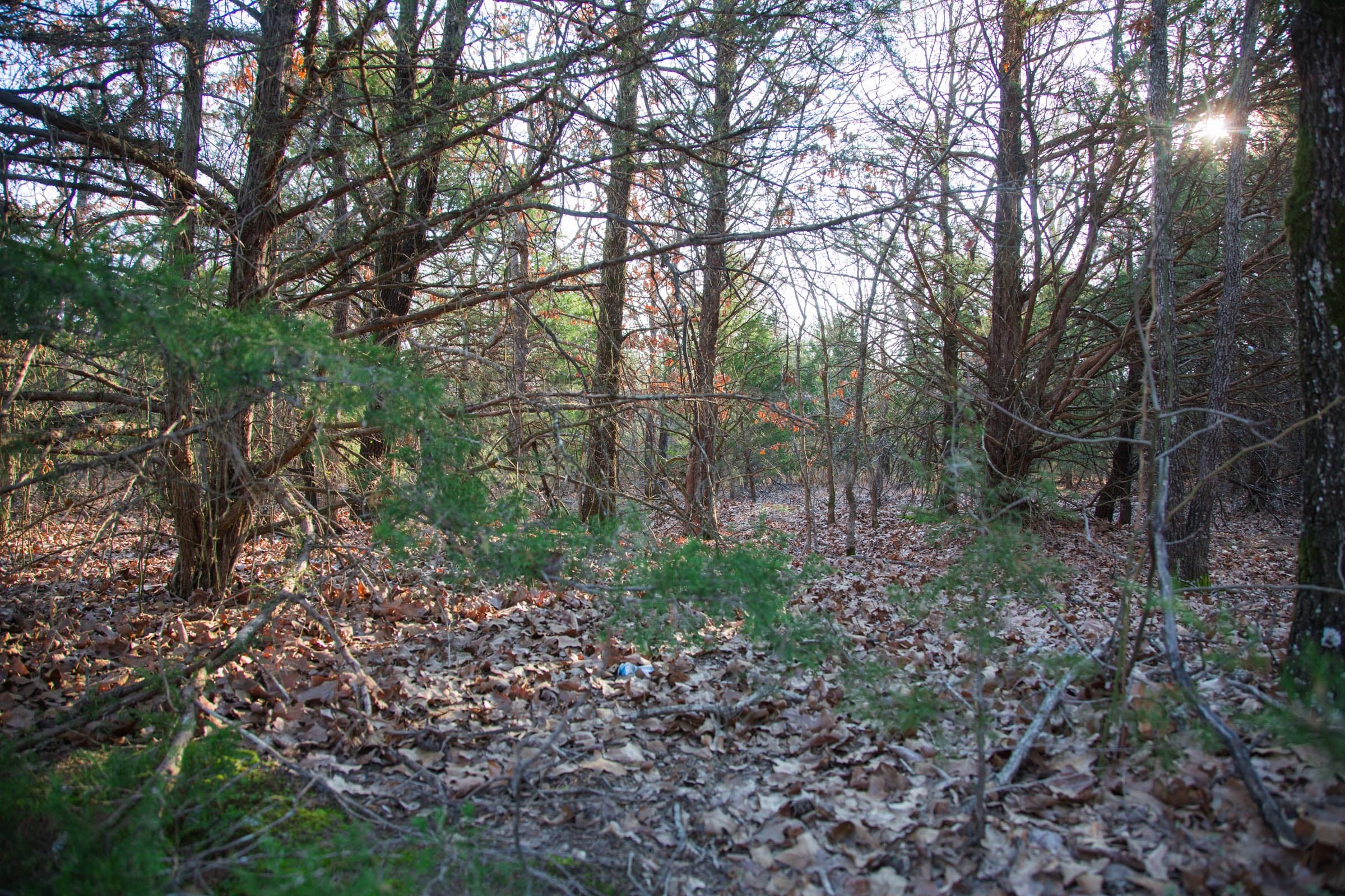 Eufaula Cove Tract 27 photo 4