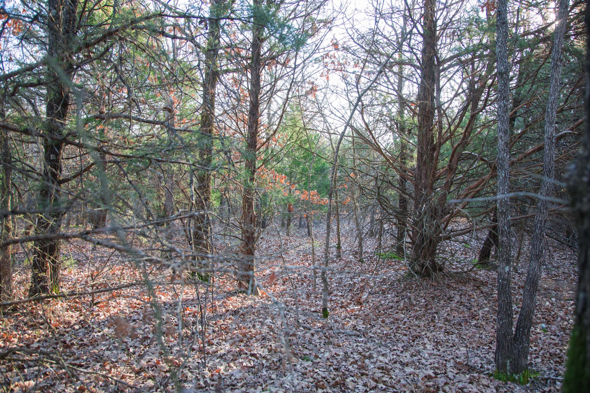 Eufaula Cove Tract 27 photo 5