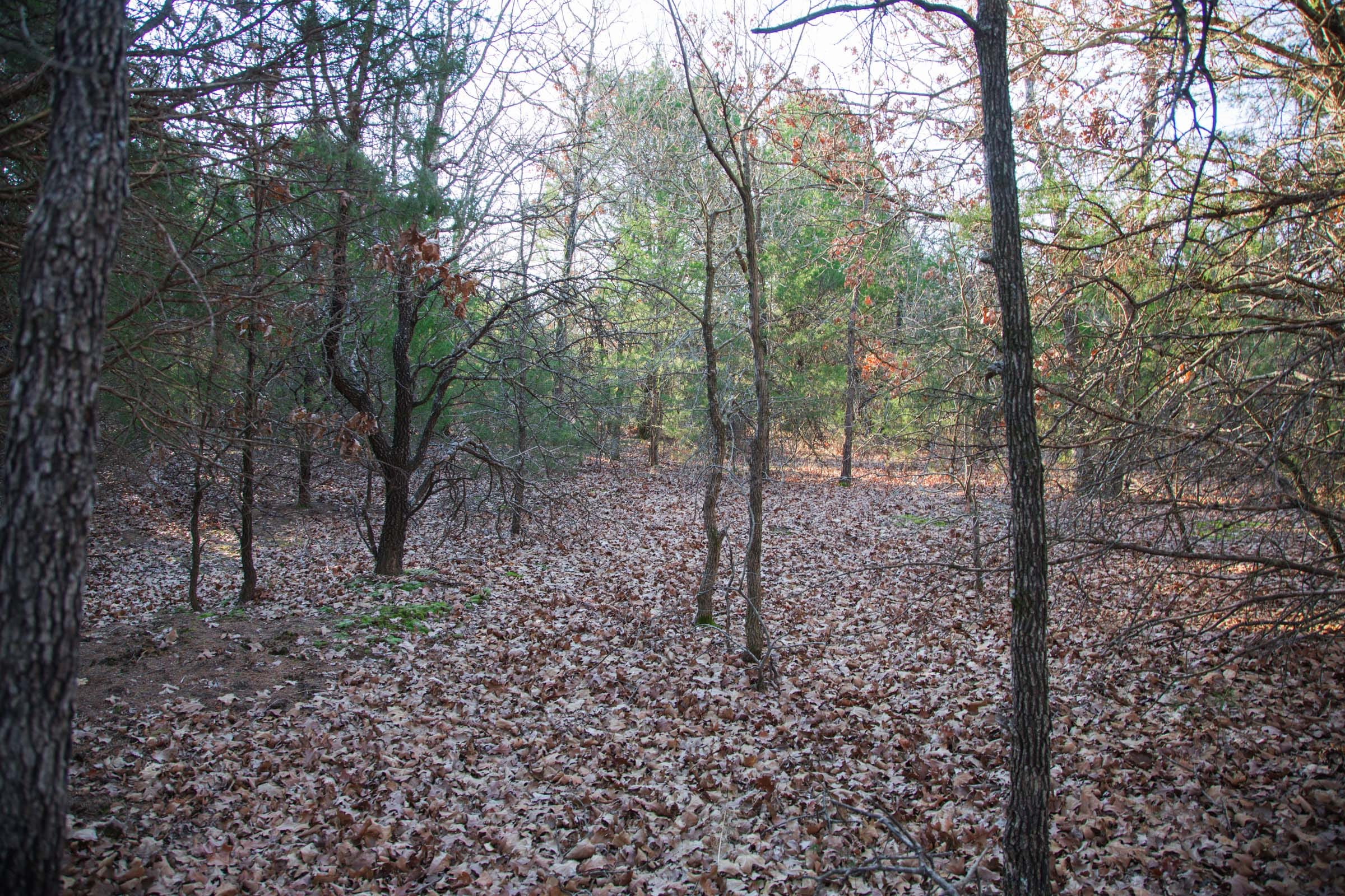 Eufaula Cove Tract 27 photo 6