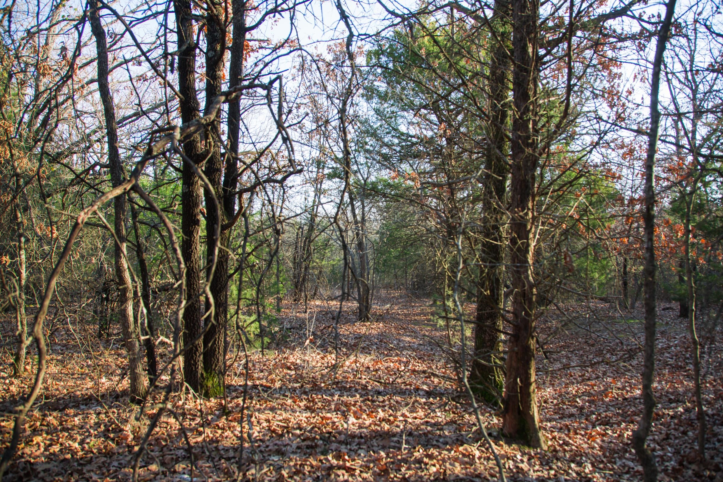 Eufaula Cove Tract 27 photo 7