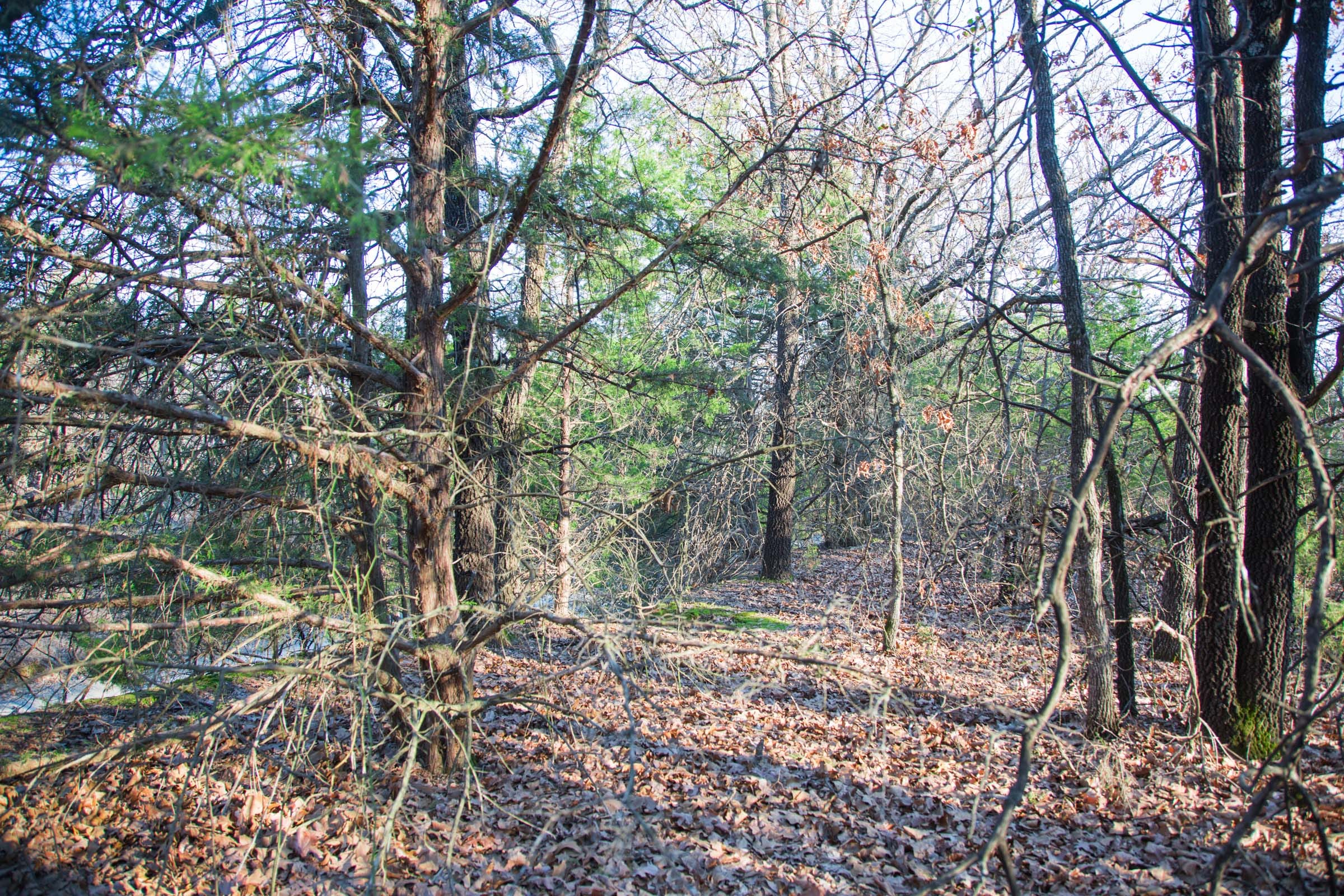 Eufaula Cove Tract 27 photo 8