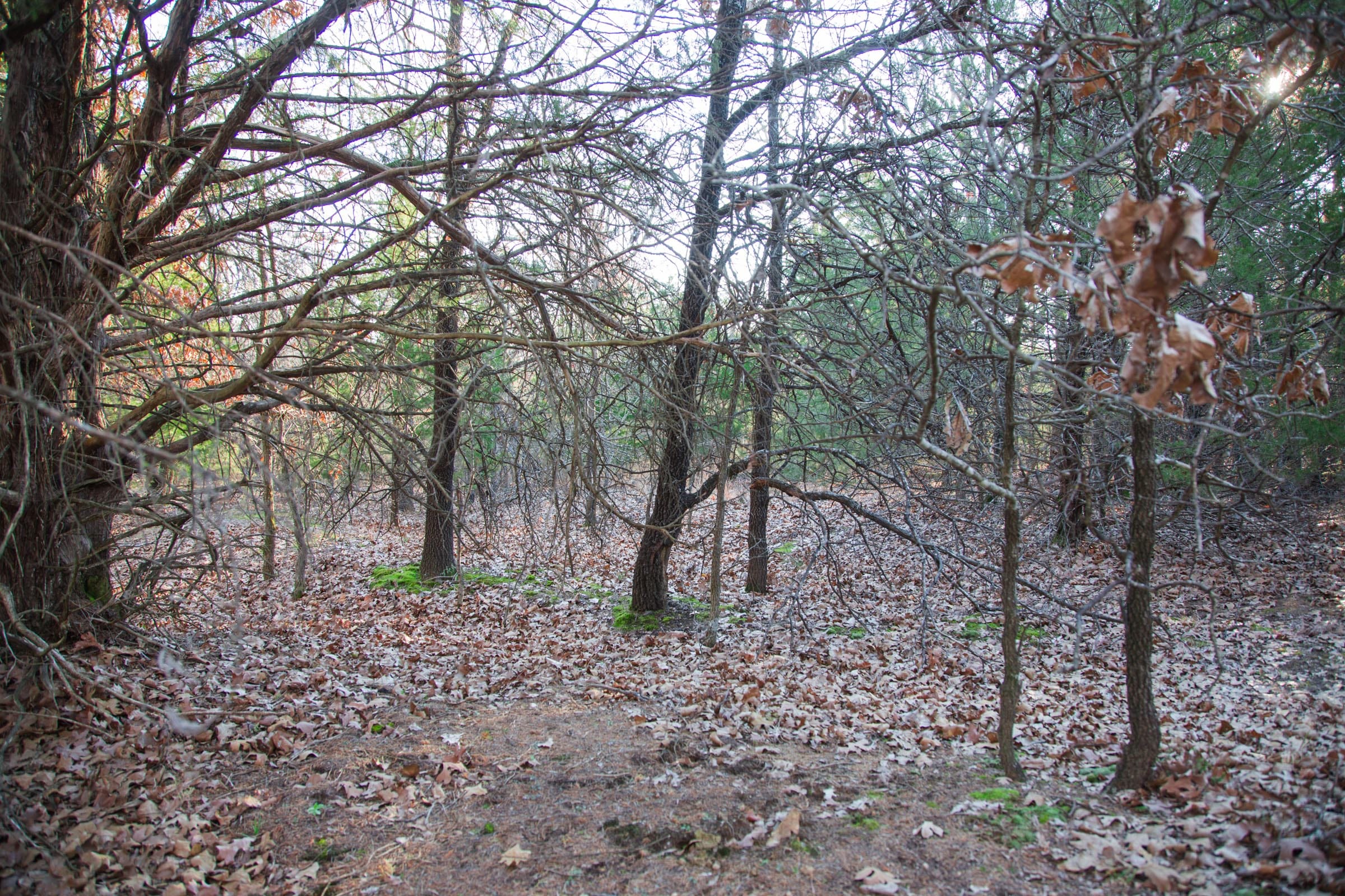 Eufaula Cove Tract 27 photo 10