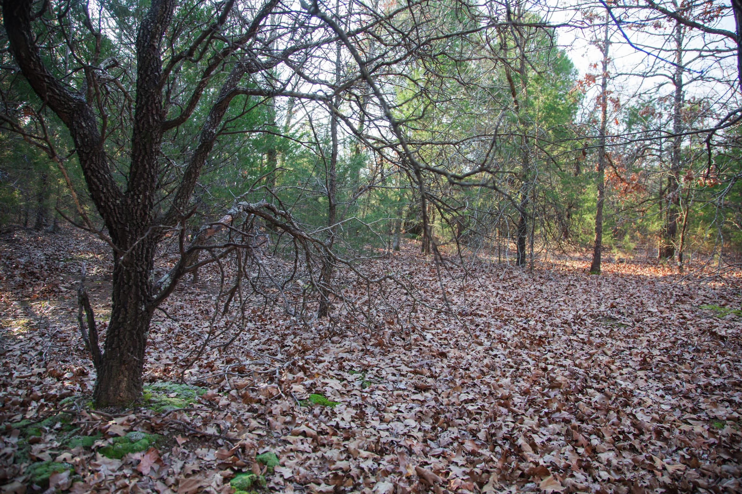 Eufaula Cove Tract 27 photo 11