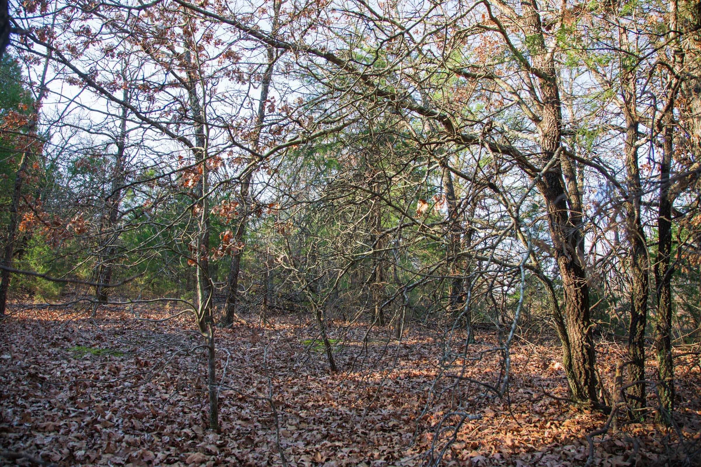 Eufaula Cove Tract 27 photo 12