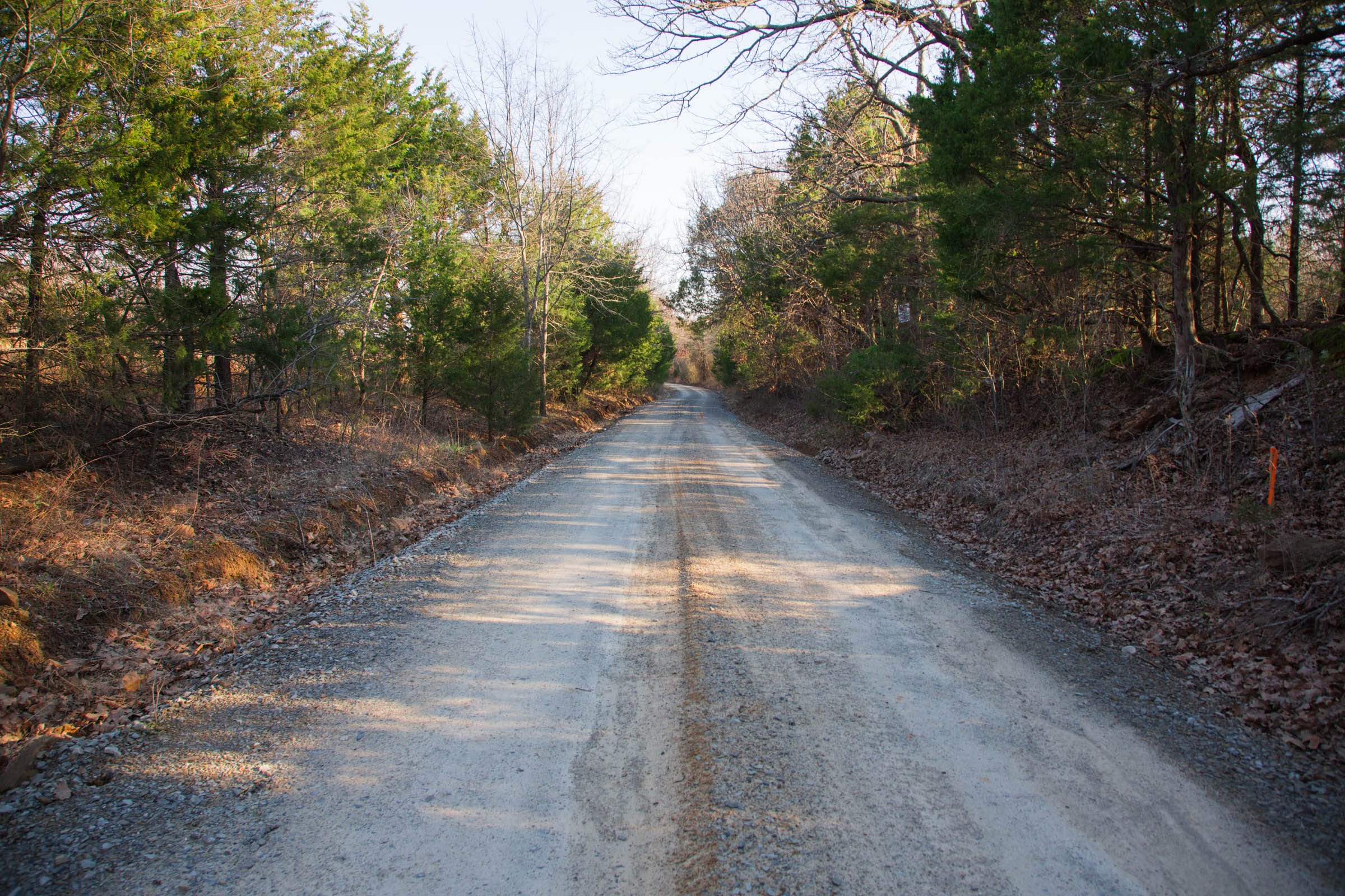 Eufaula Cove Tract 27 photo 13