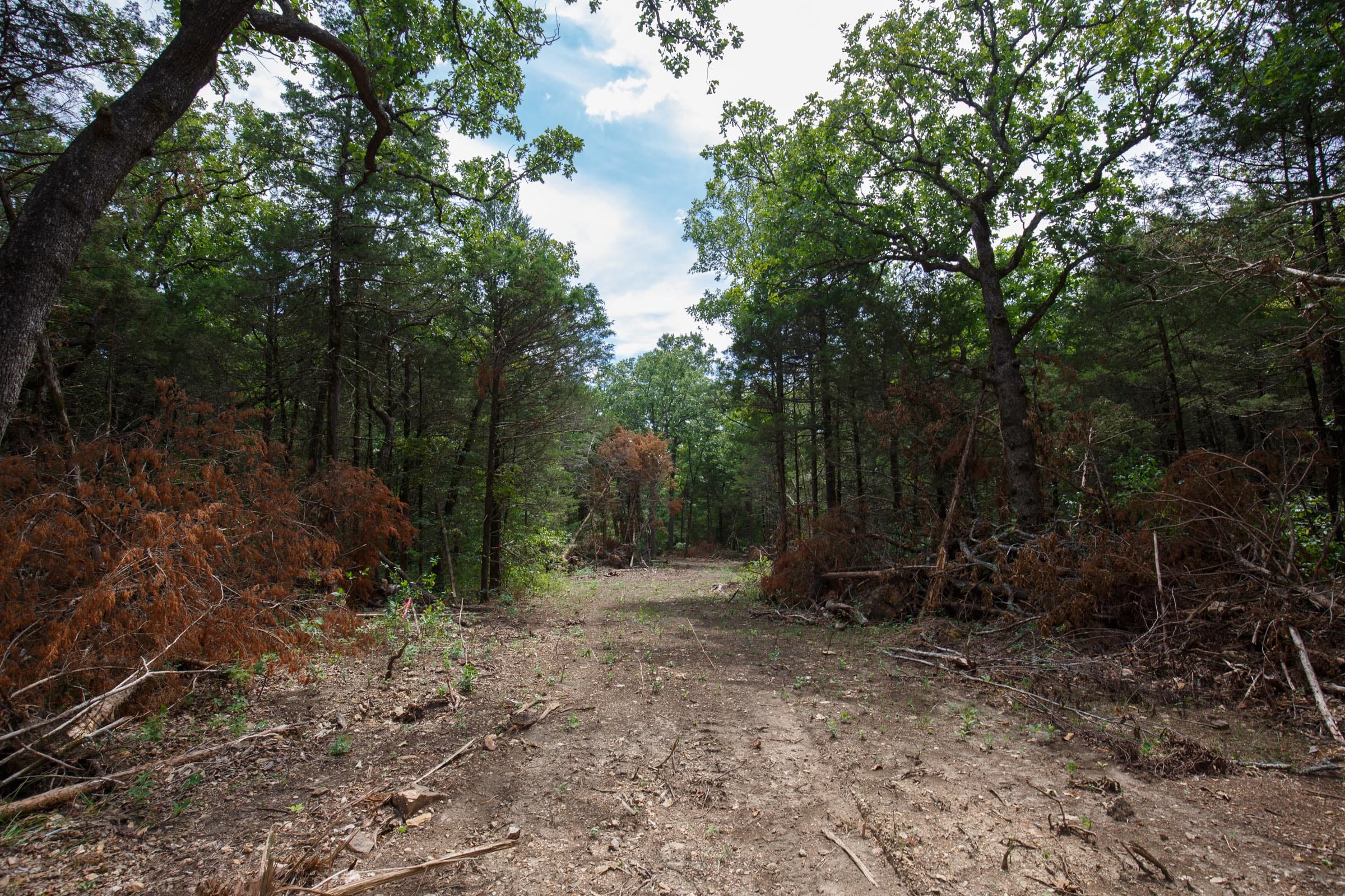 Wildwood Tract 21 photo 1