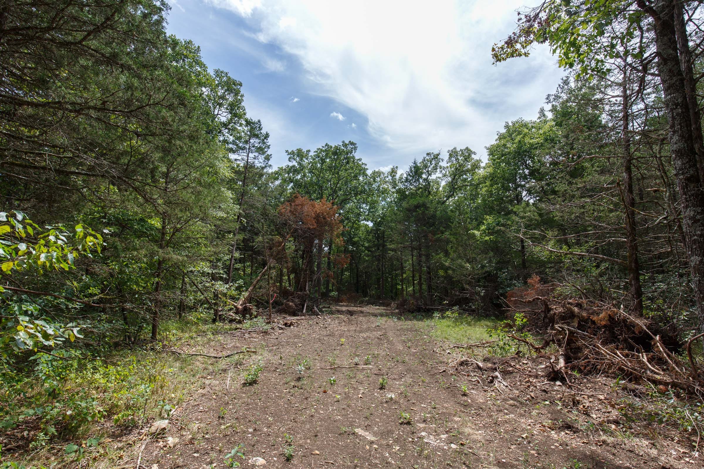 Wildwood Tract 21 photo 6