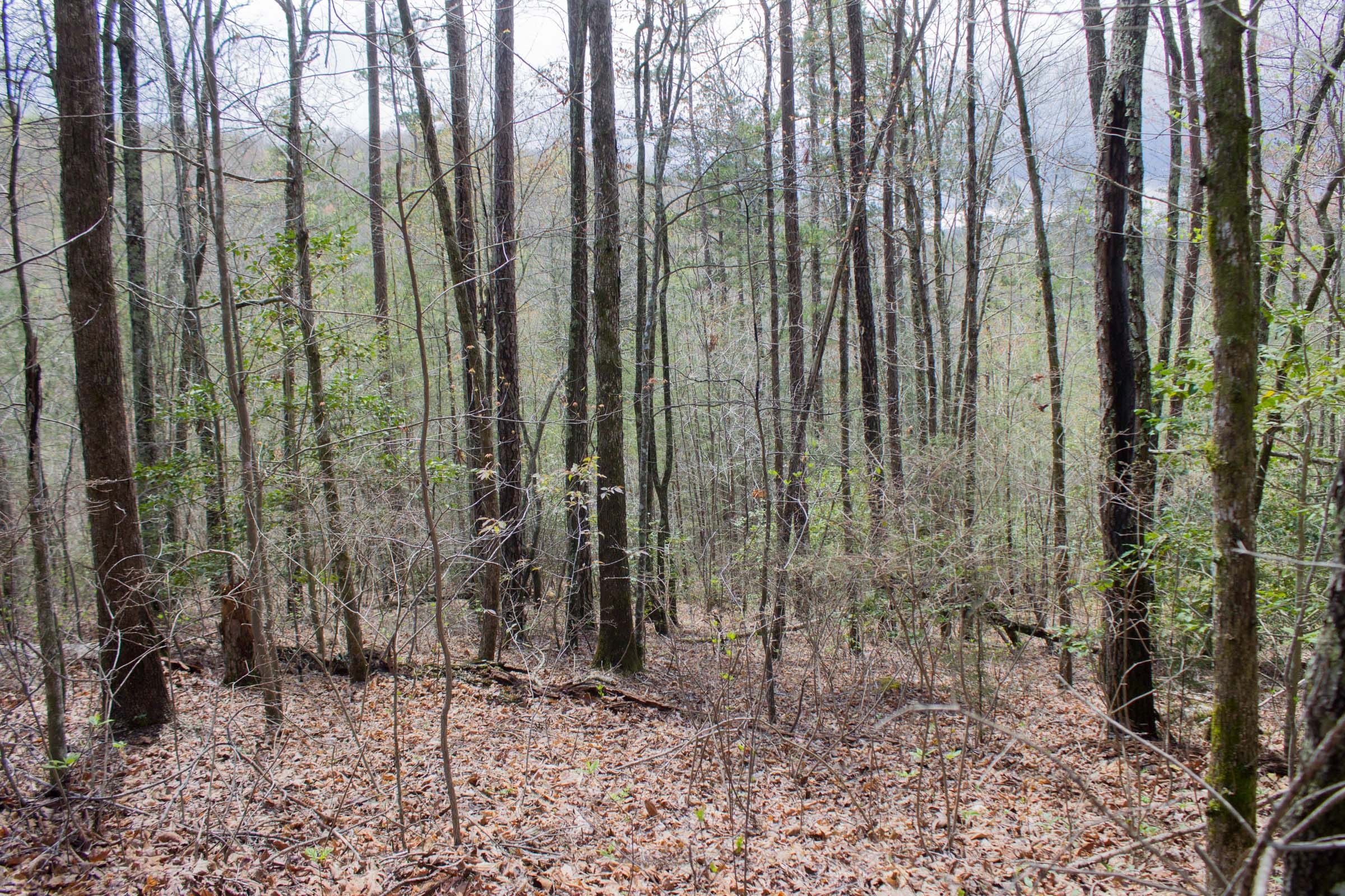 Hidden Hills Tract 30 photo 2