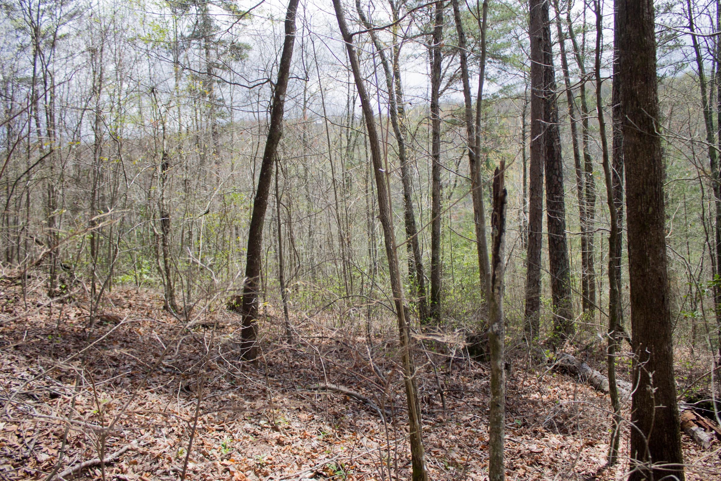 Hidden Hills Tract 30 photo 3