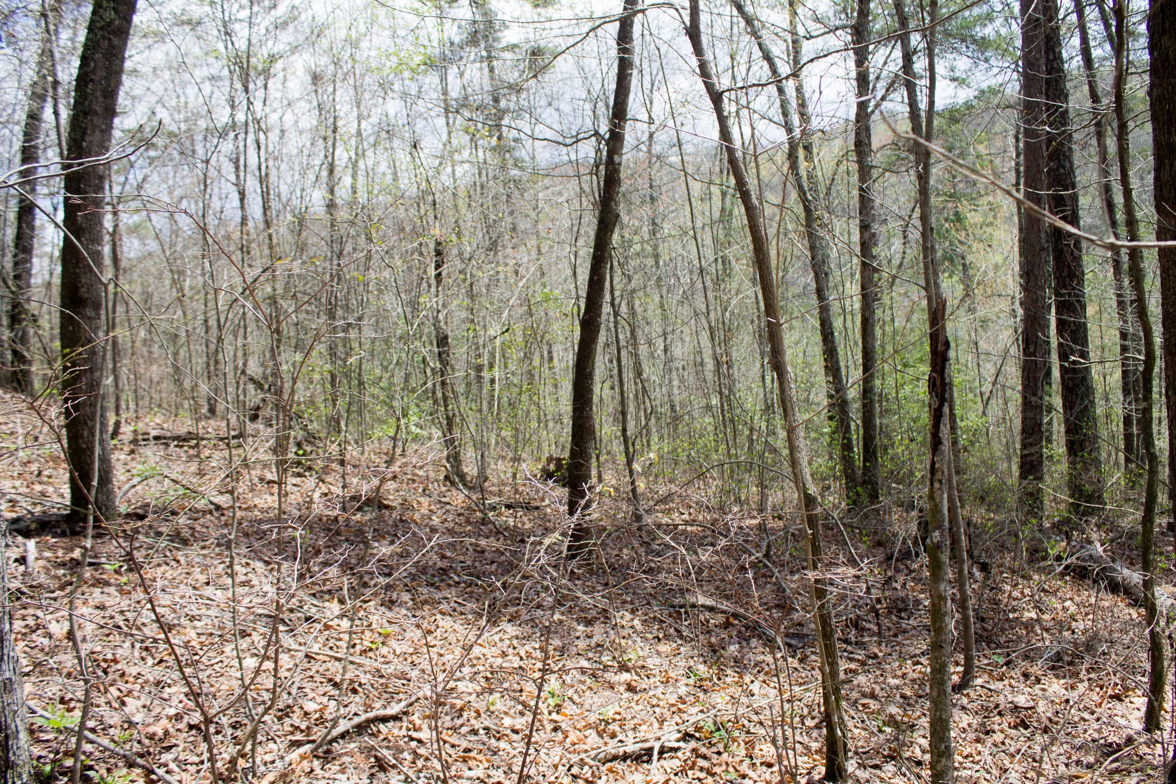Hidden Hills Tract 30 photo 4