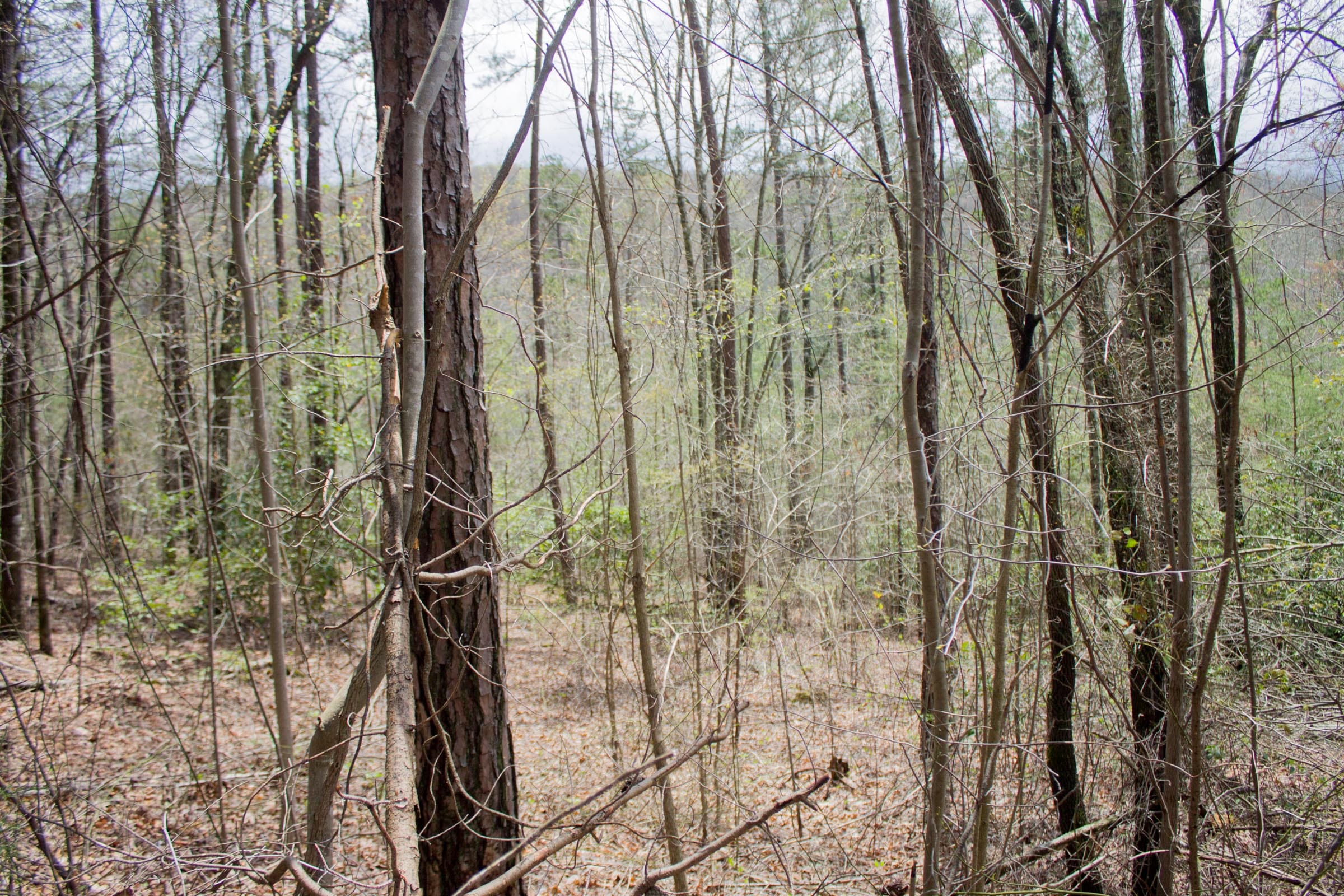 Hidden Hills Tract 30 photo 6
