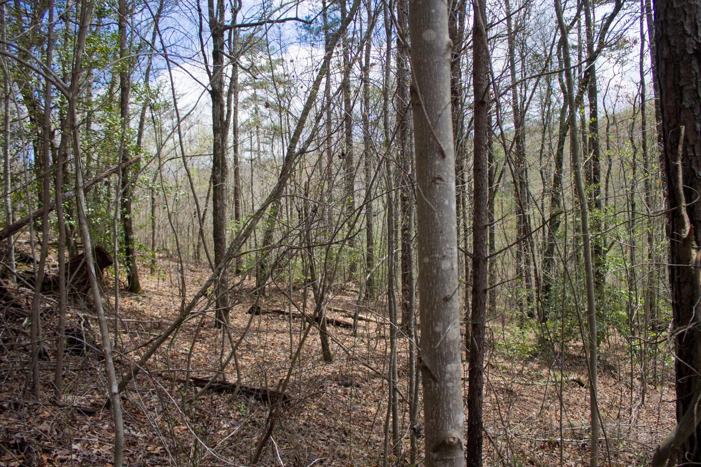 Hidden Hills Tract 30 photo 7