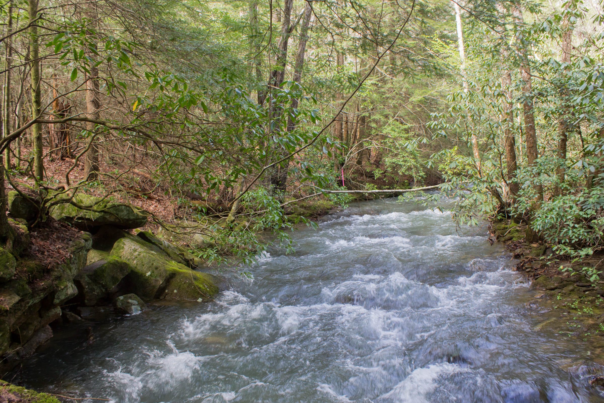 Hidden Hills Tract 30 photo 8