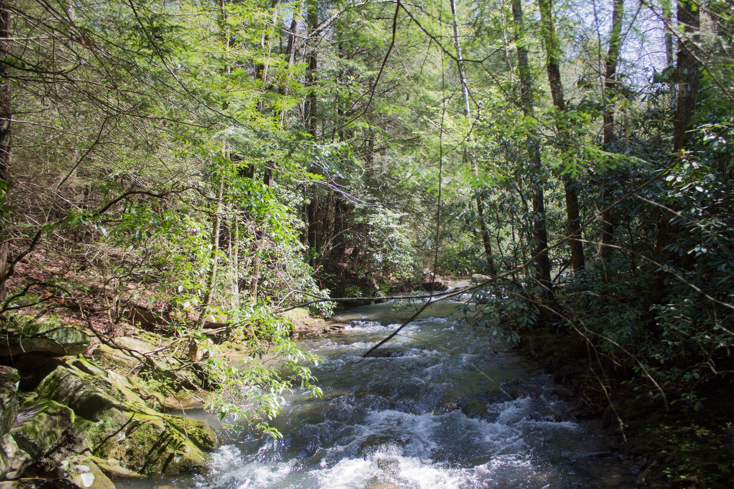 Hidden Hills Tract 30 photo 21