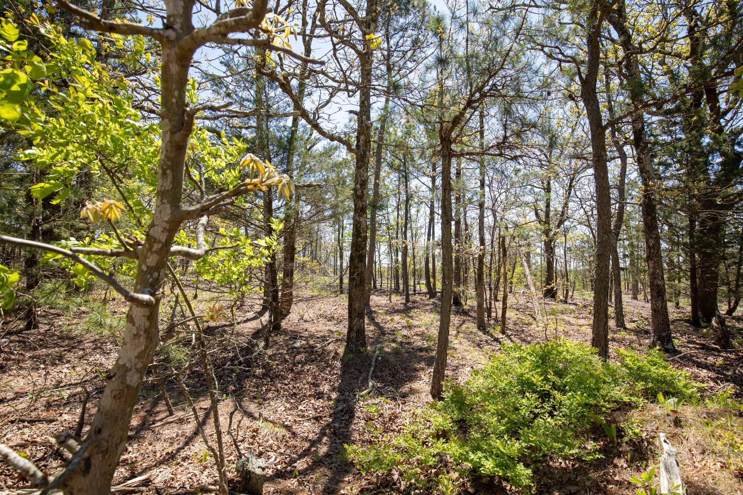 Eagle’s Nest Tract 4 photo 3