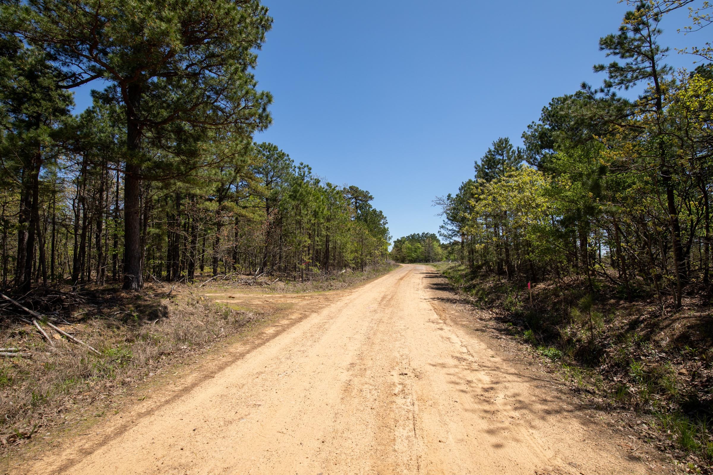 Eagle’s Nest Tract 4 photo 2