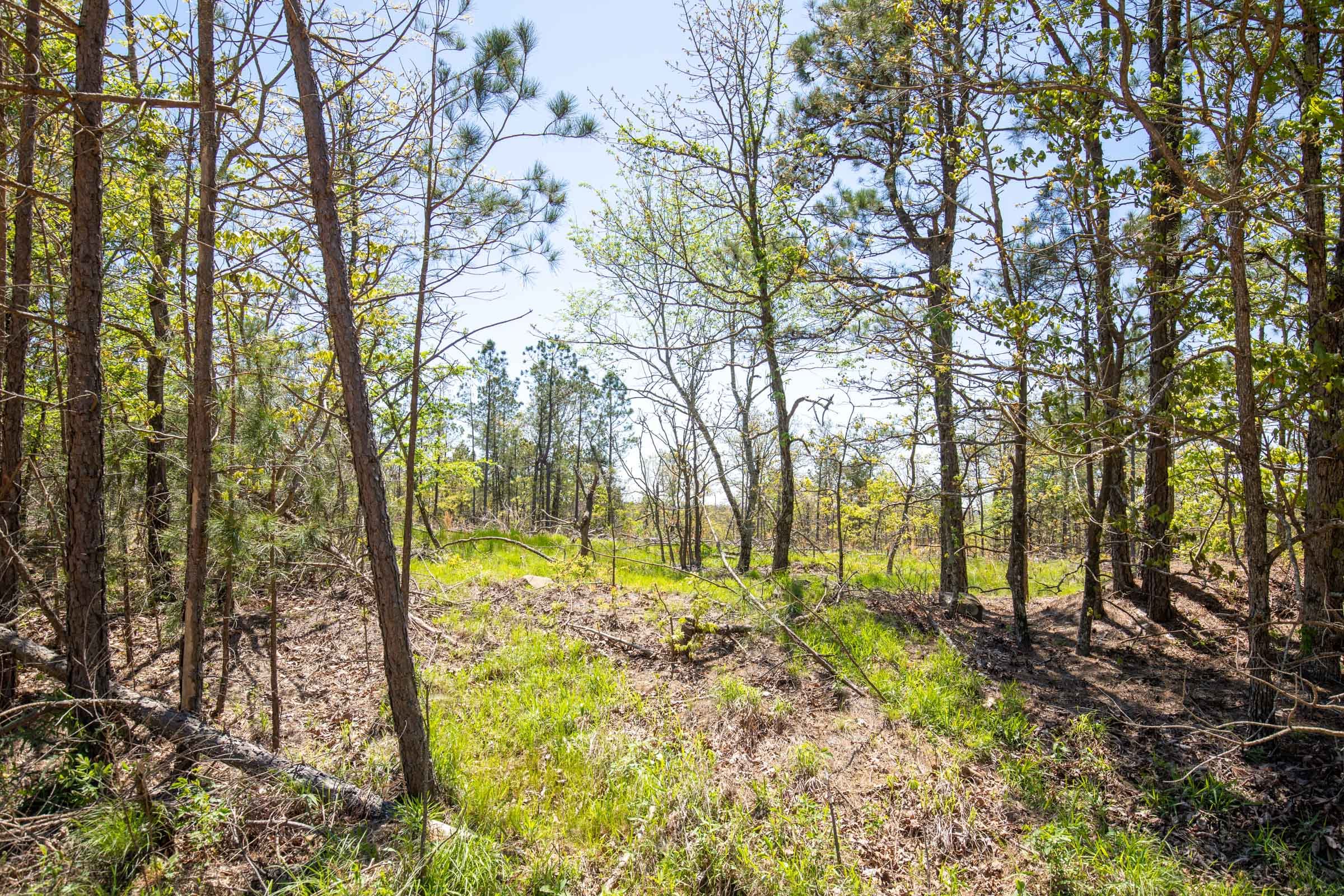 Eagle’s Nest Tract 4 photo 5