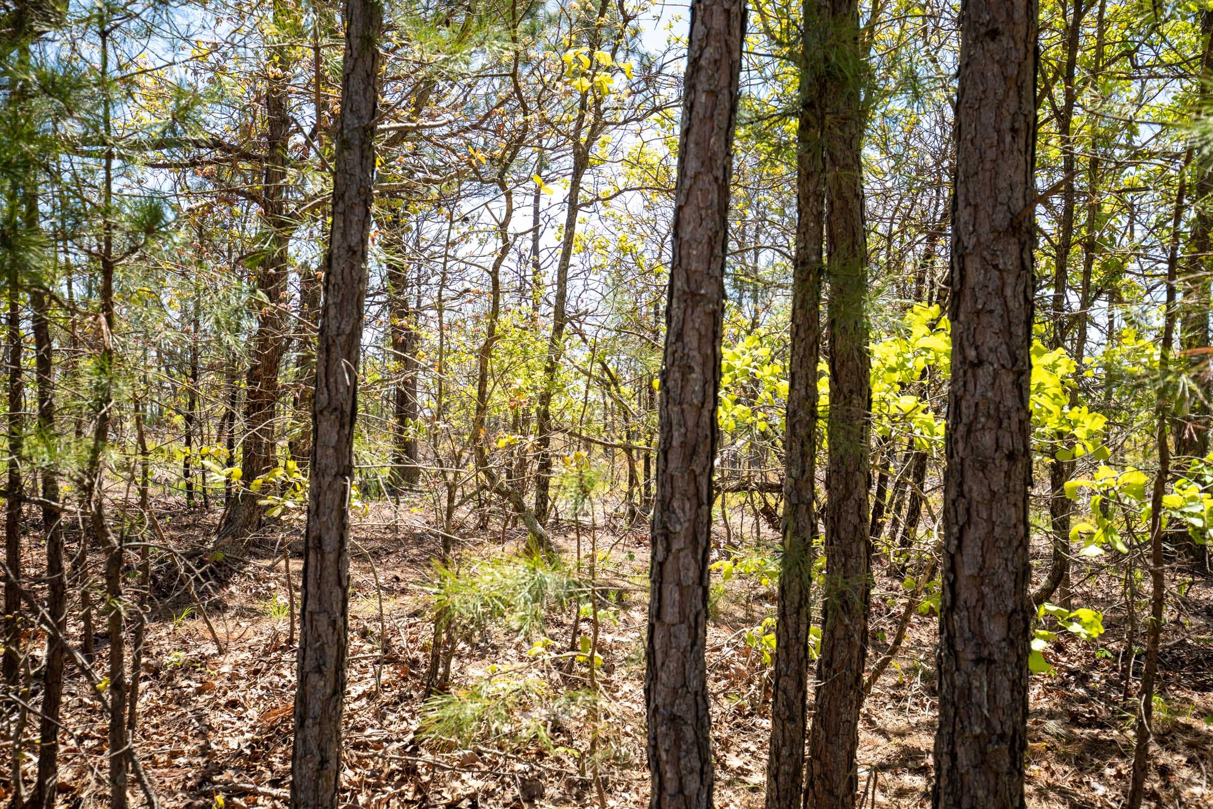 Eagle’s Nest Tract 4 photo 7