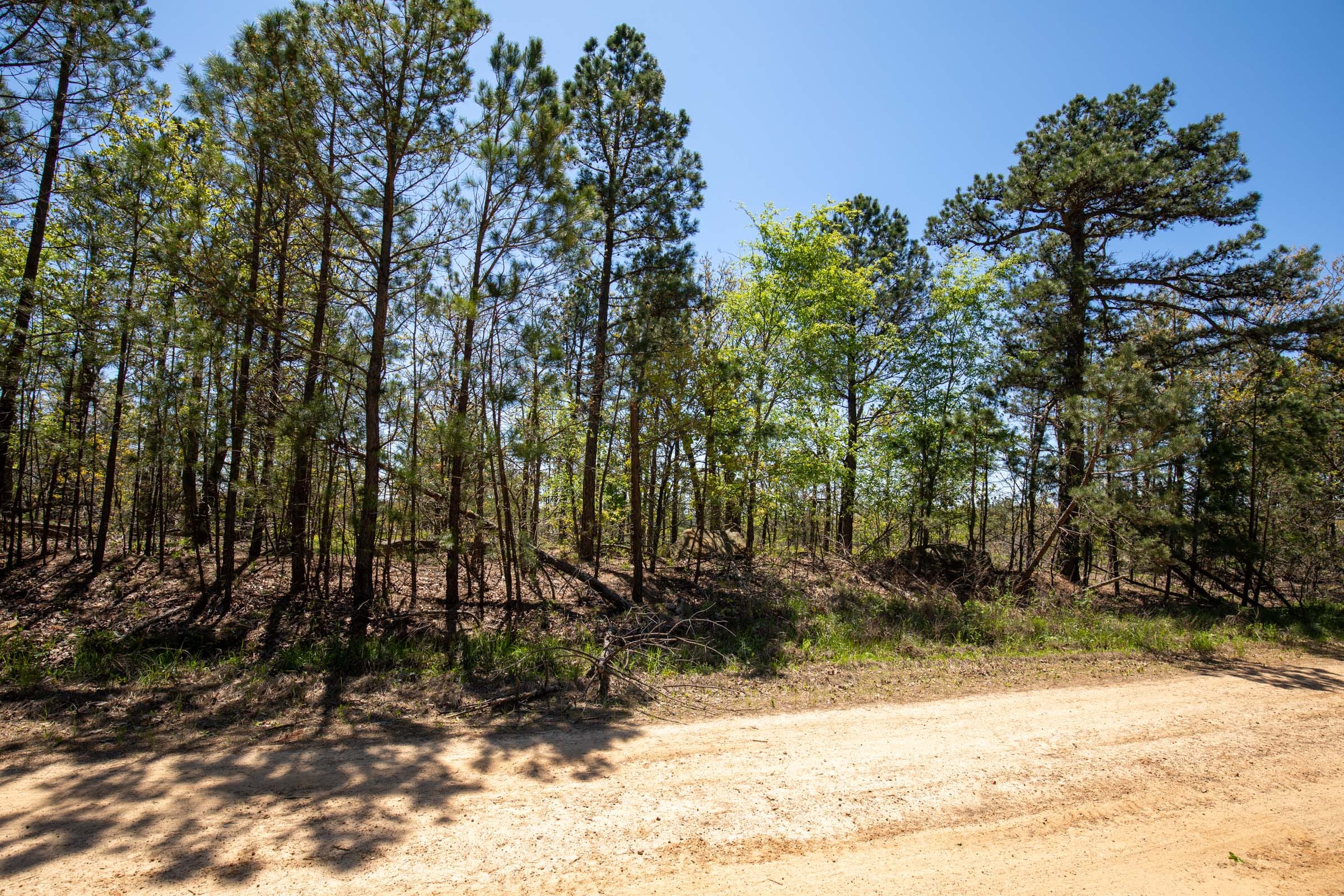 Eagle’s Nest Tract 4 photo 8