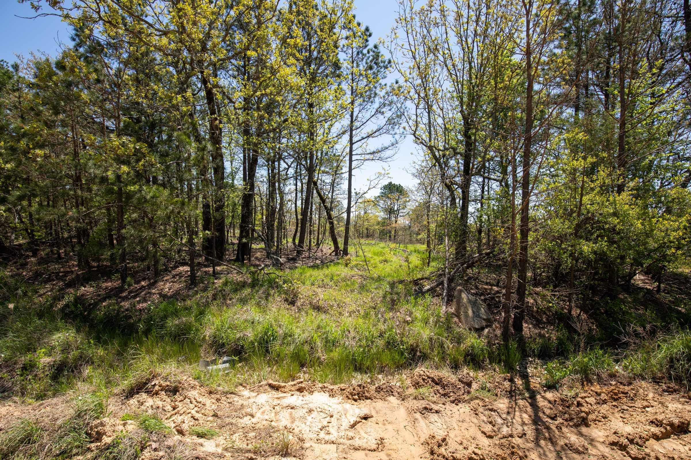 Eagle’s Nest Tract 4 photo 9