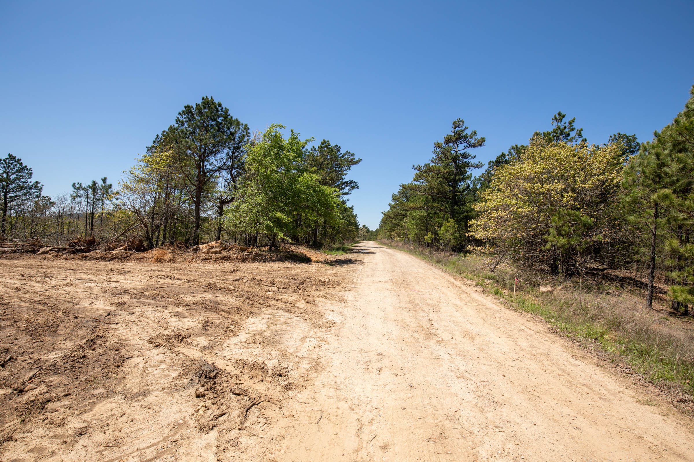 Eagle’s Nest Tract 4 photo 10