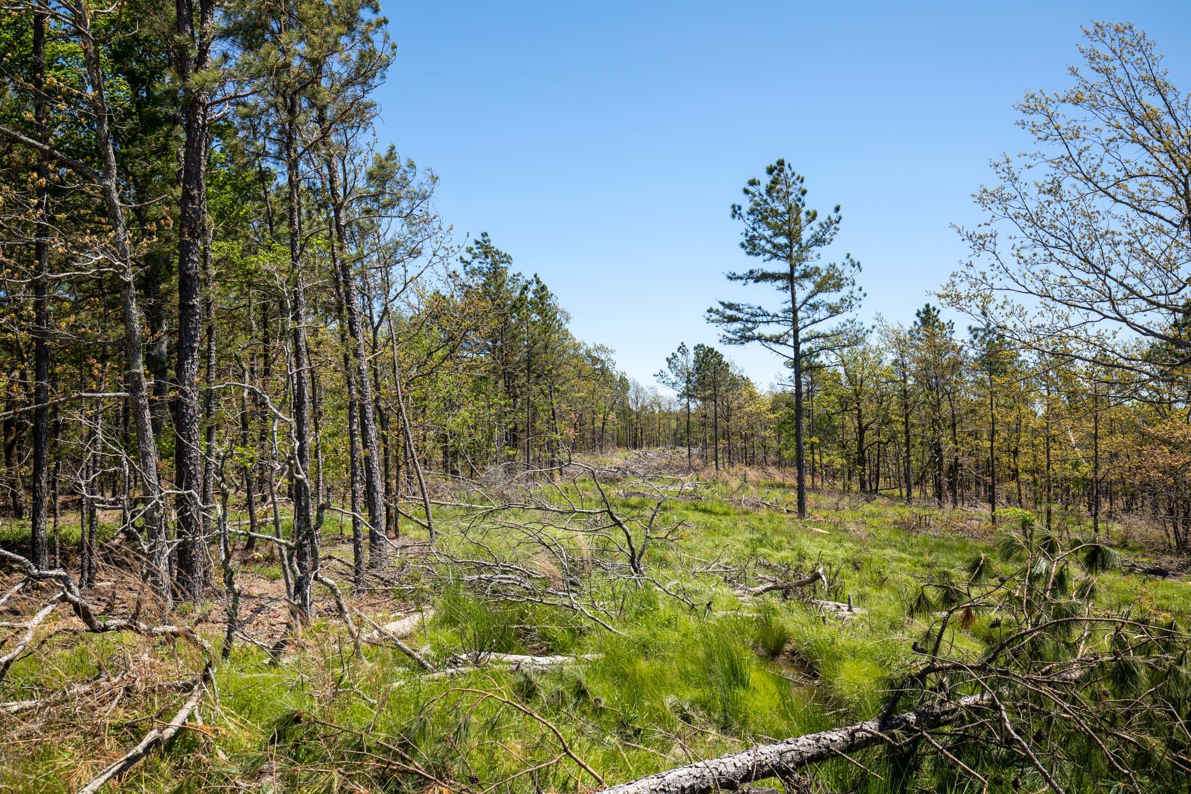 Eagle’s Nest Tract 4 photo 12