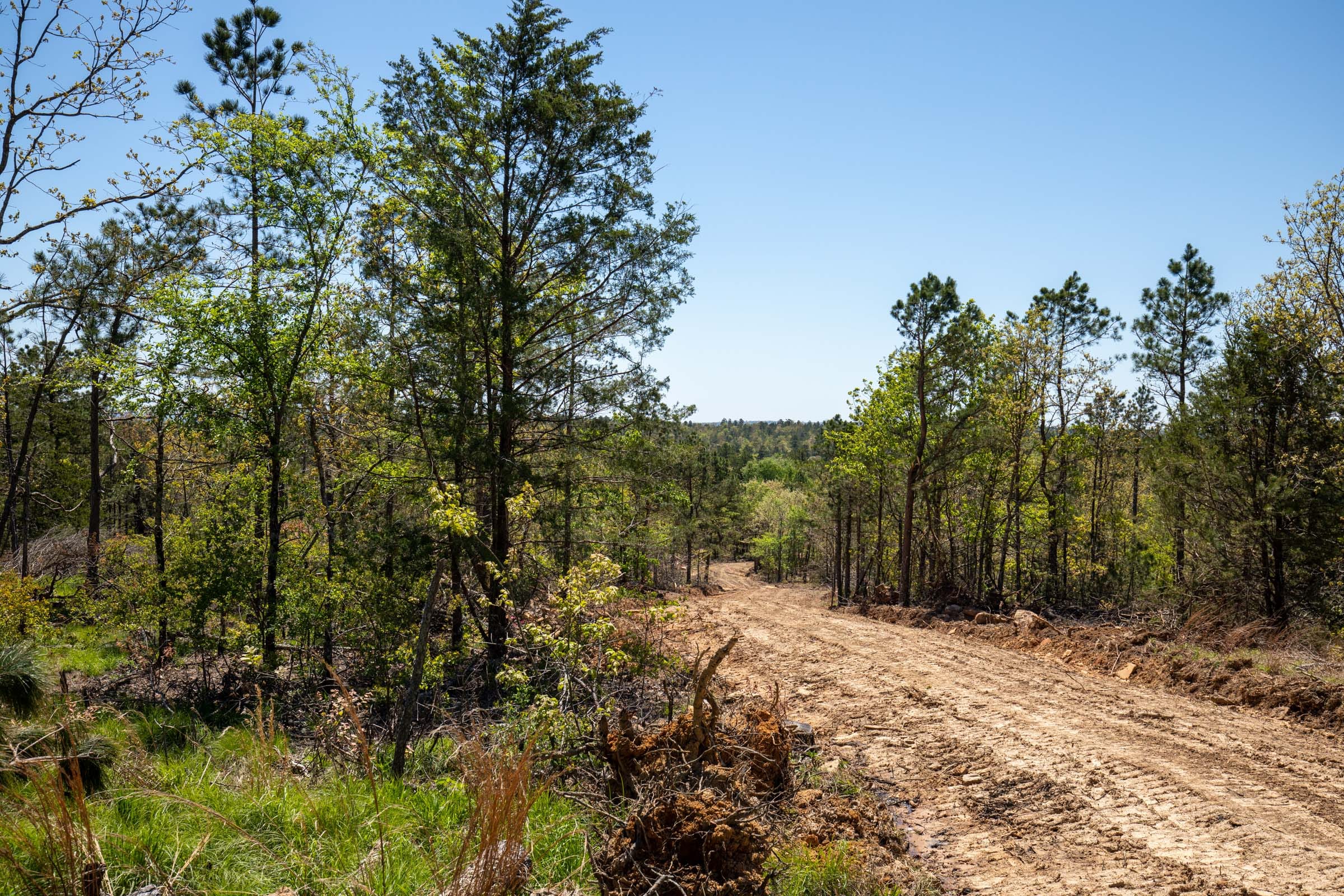 Eagle’s Nest Tract 4 photo 13