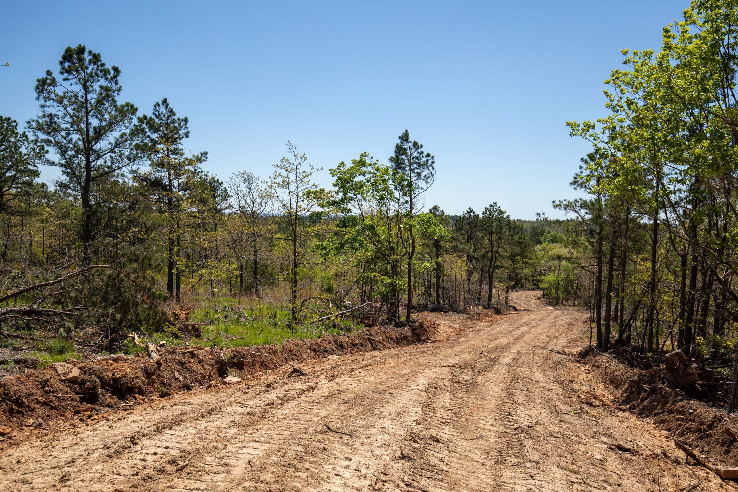 Eagle’s Nest Tract 4 photo 14