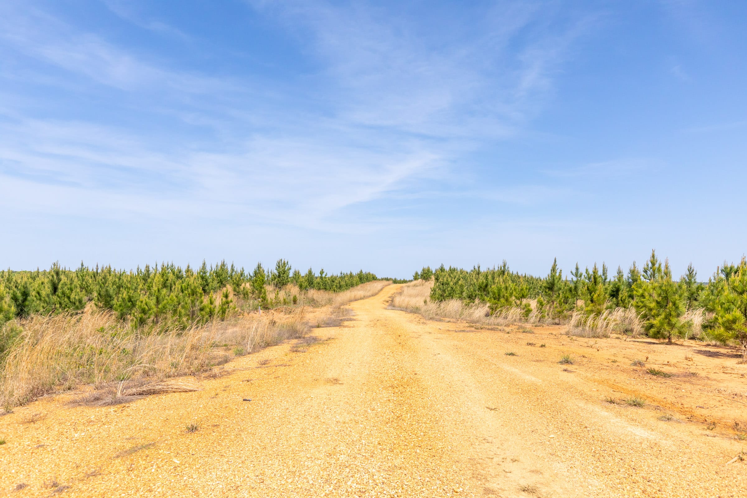 Clear Wood Tract 48 photo 1