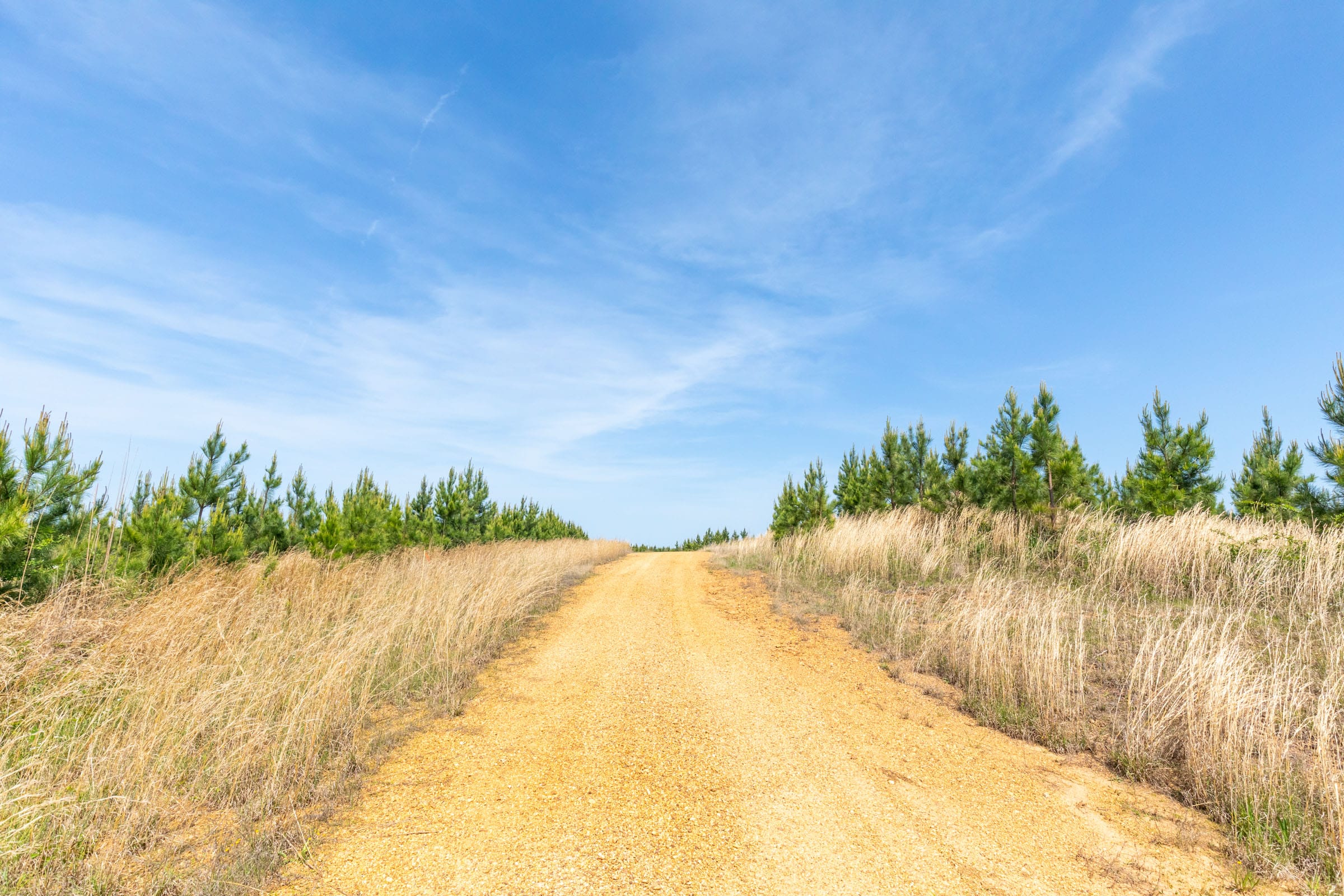 Clear Wood Tract 48 photo 6
