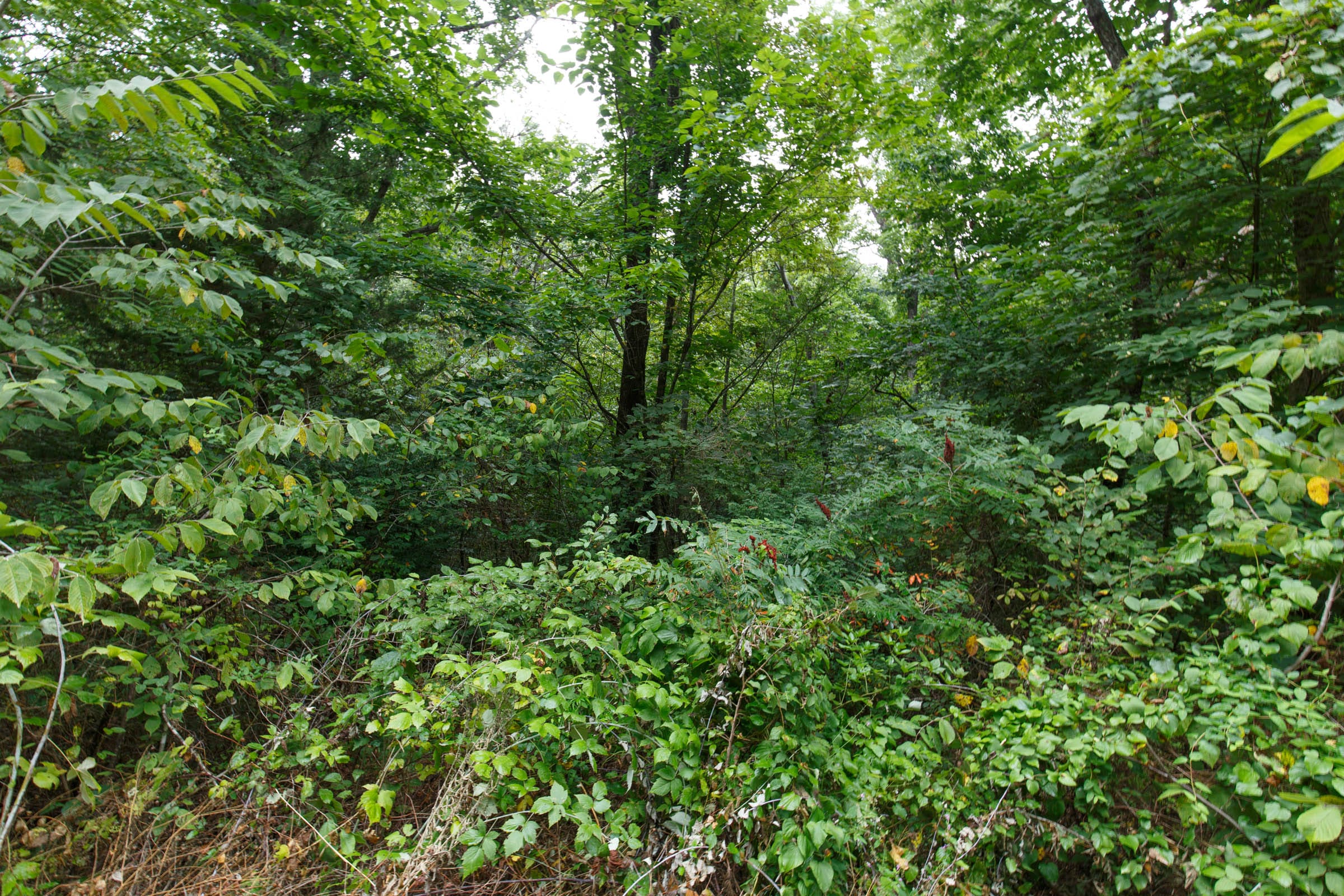 Spring Lake Plat 4 Tract 129 photo 4