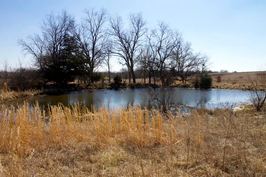 Cowboy Meadows Tract 7 photo 5
