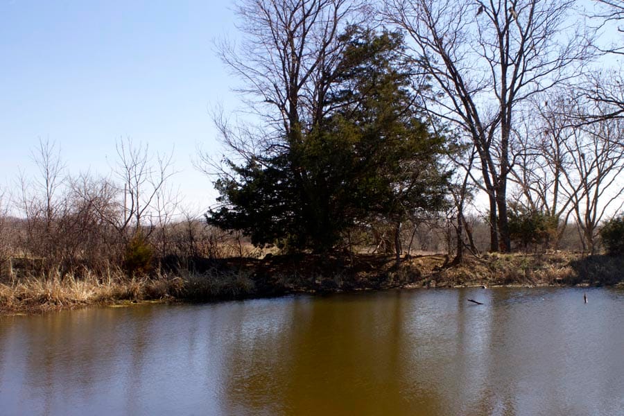 Cowboy Meadows Tract 7 photo 6