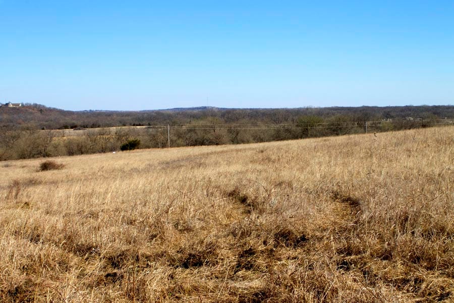 Cowboy Meadows Tract 7 photo 8
