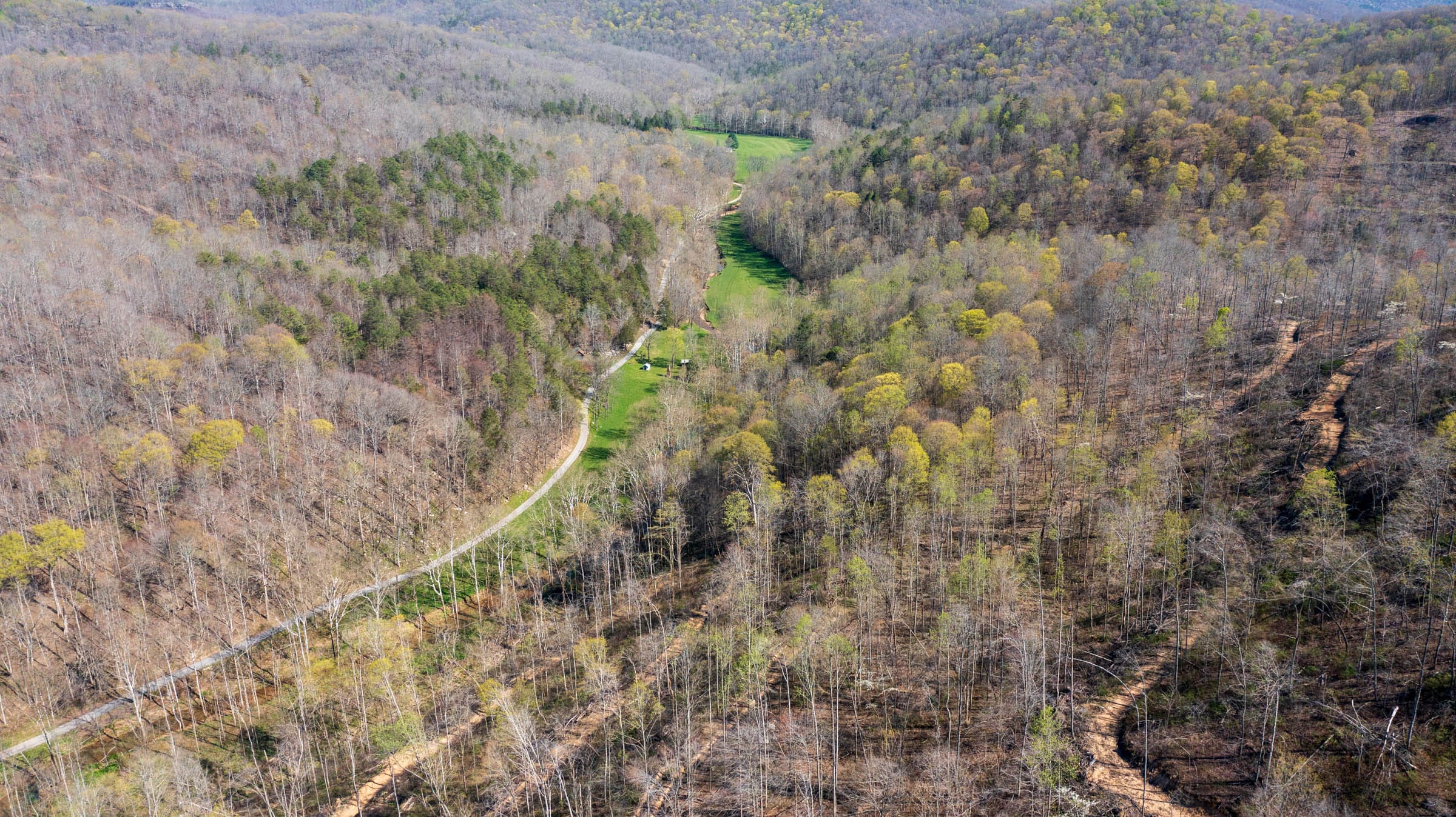 Creek Hollow Phase I Tract 37 photo 13