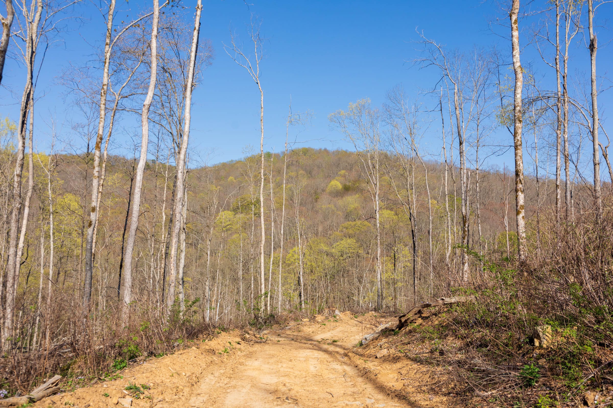 Creek Hollow Phase I Tract 37 photo 1