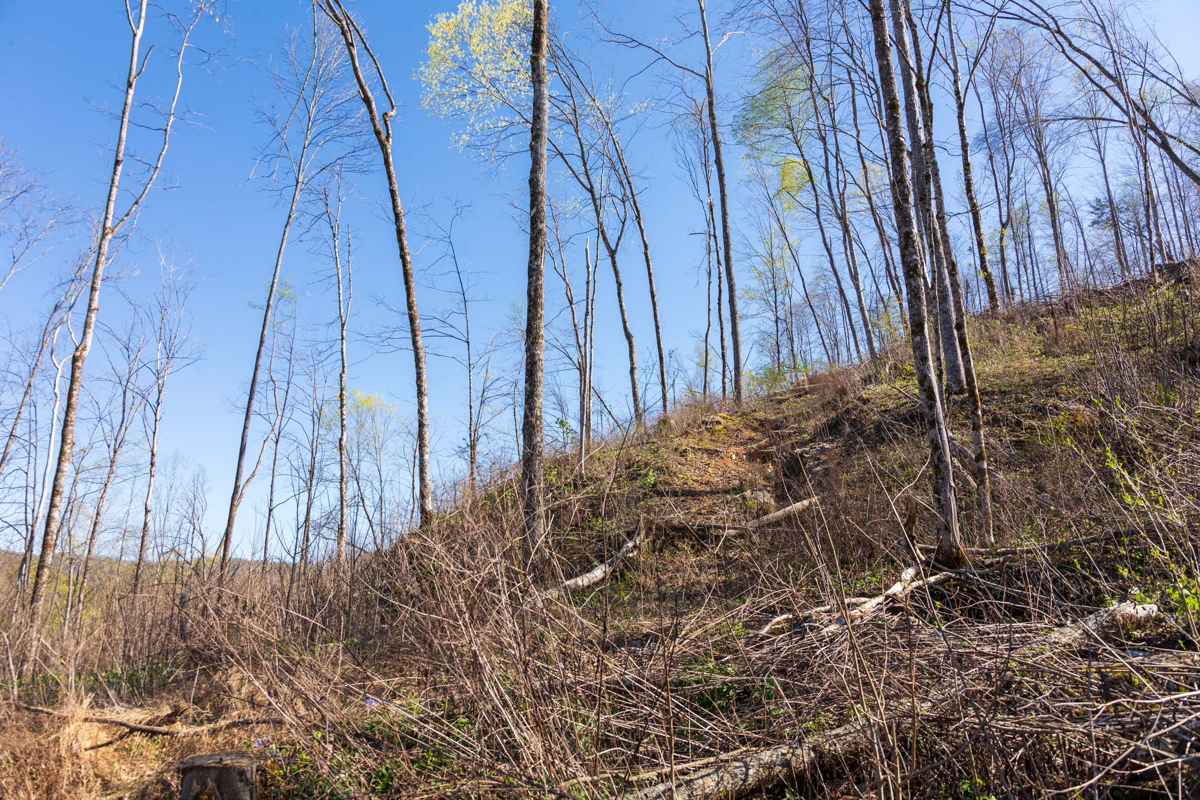 Creek Hollow Phase I Tract 37 photo 5
